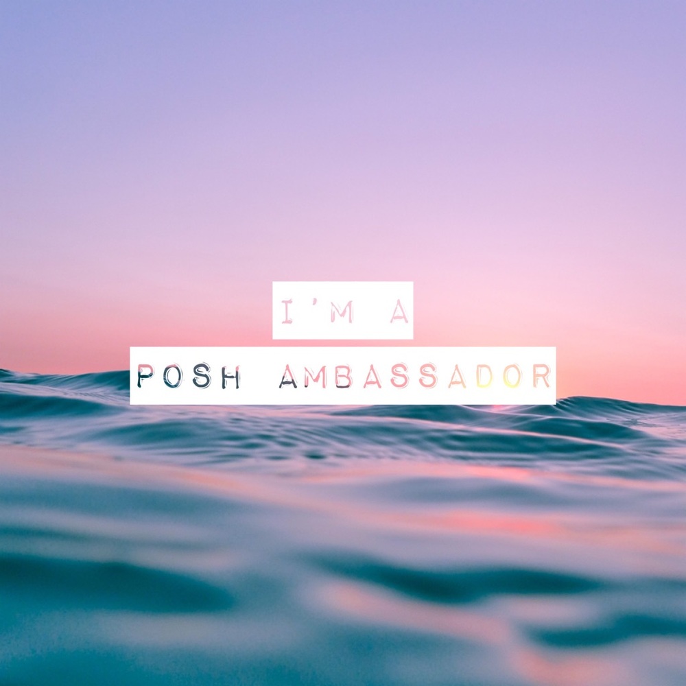 meet your posh ambassador, ashley